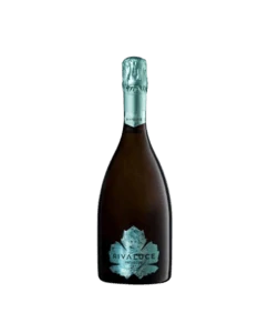 RIVALUCE - Brut Treviso